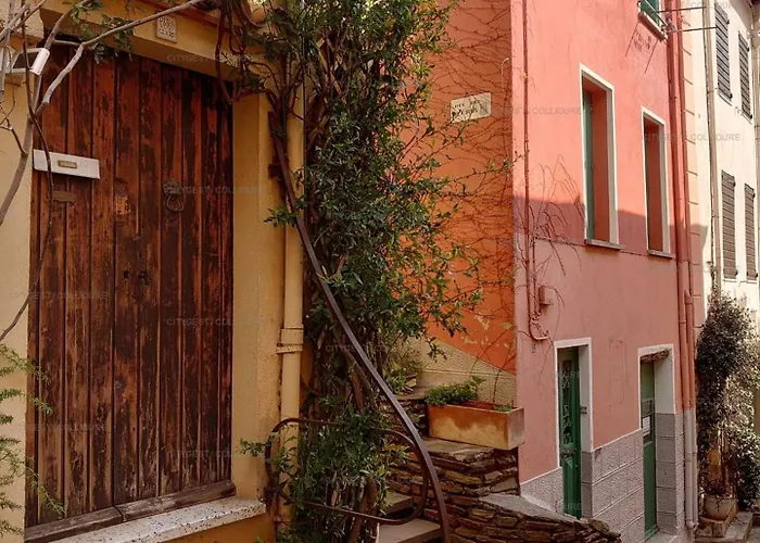 4des2 Grand T3 Pour 4 Personnes Dans Immeuble Ancien Proche * Collioure